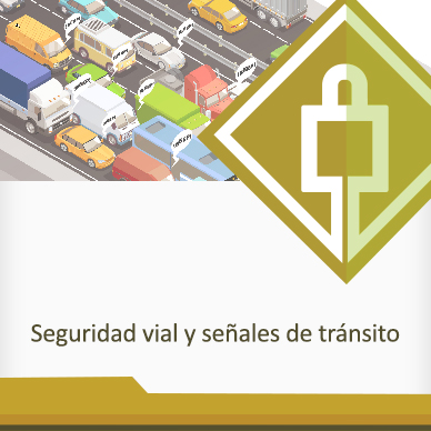 Curso seguridad vial modalidad virtual Colombia